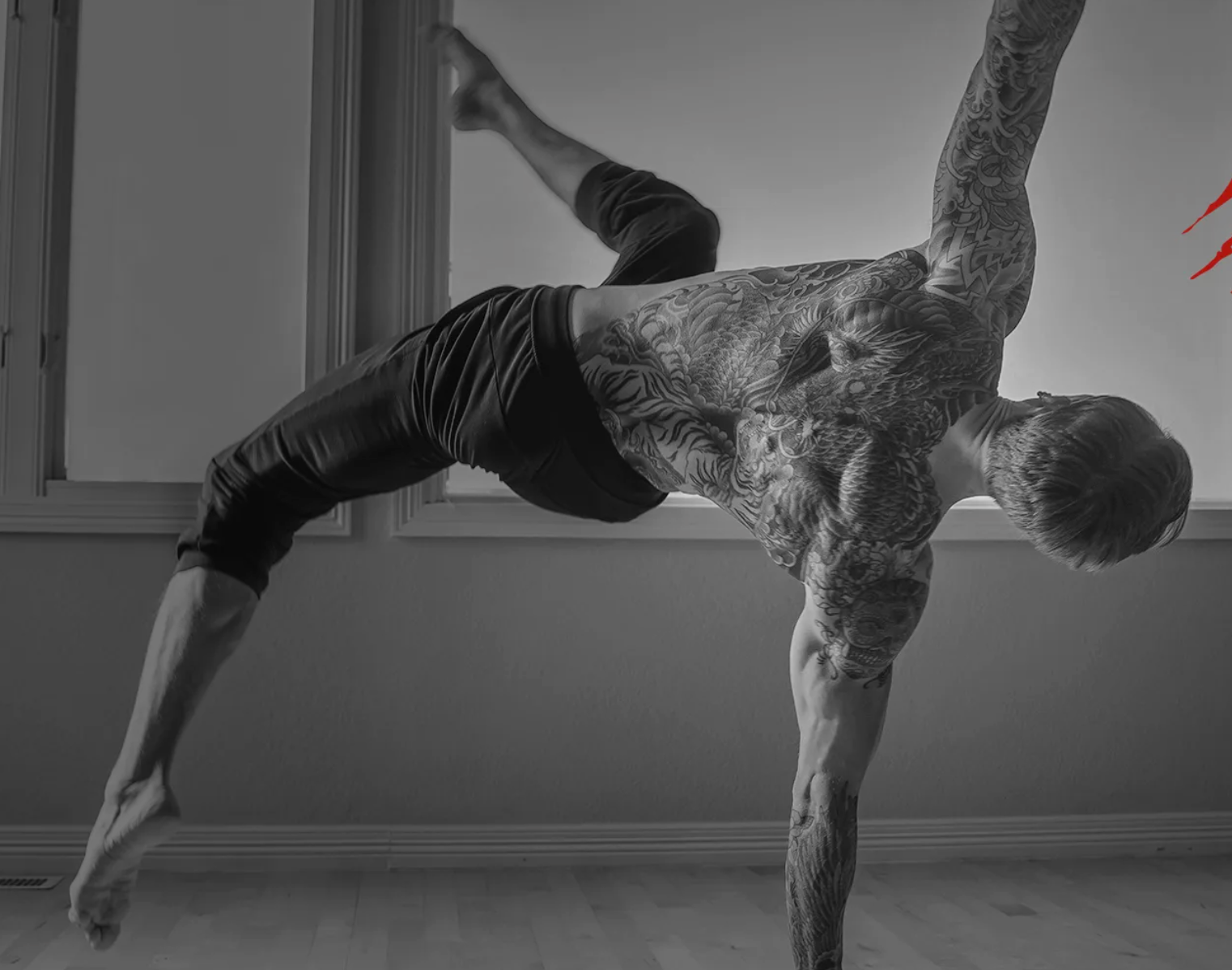 Animal Flow Level II Is Now Part of the Weekly Schedule at St Pete Calisthenics!