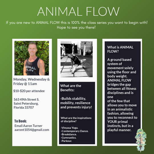 Intro to Animal Flow