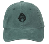Limited Edition St Pete Cali Hat
